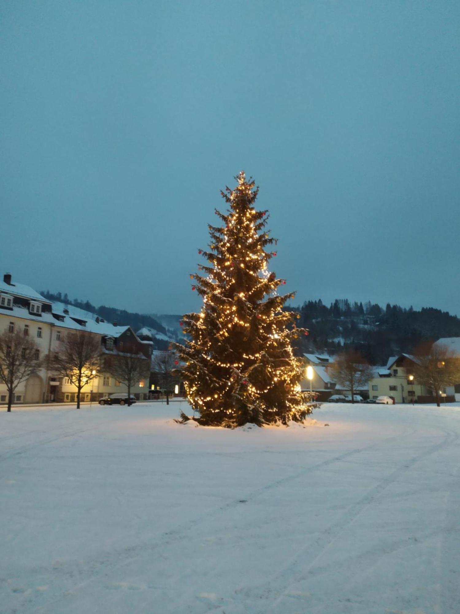 Ferienwohnung Steinachblick Steinach  Esterno foto