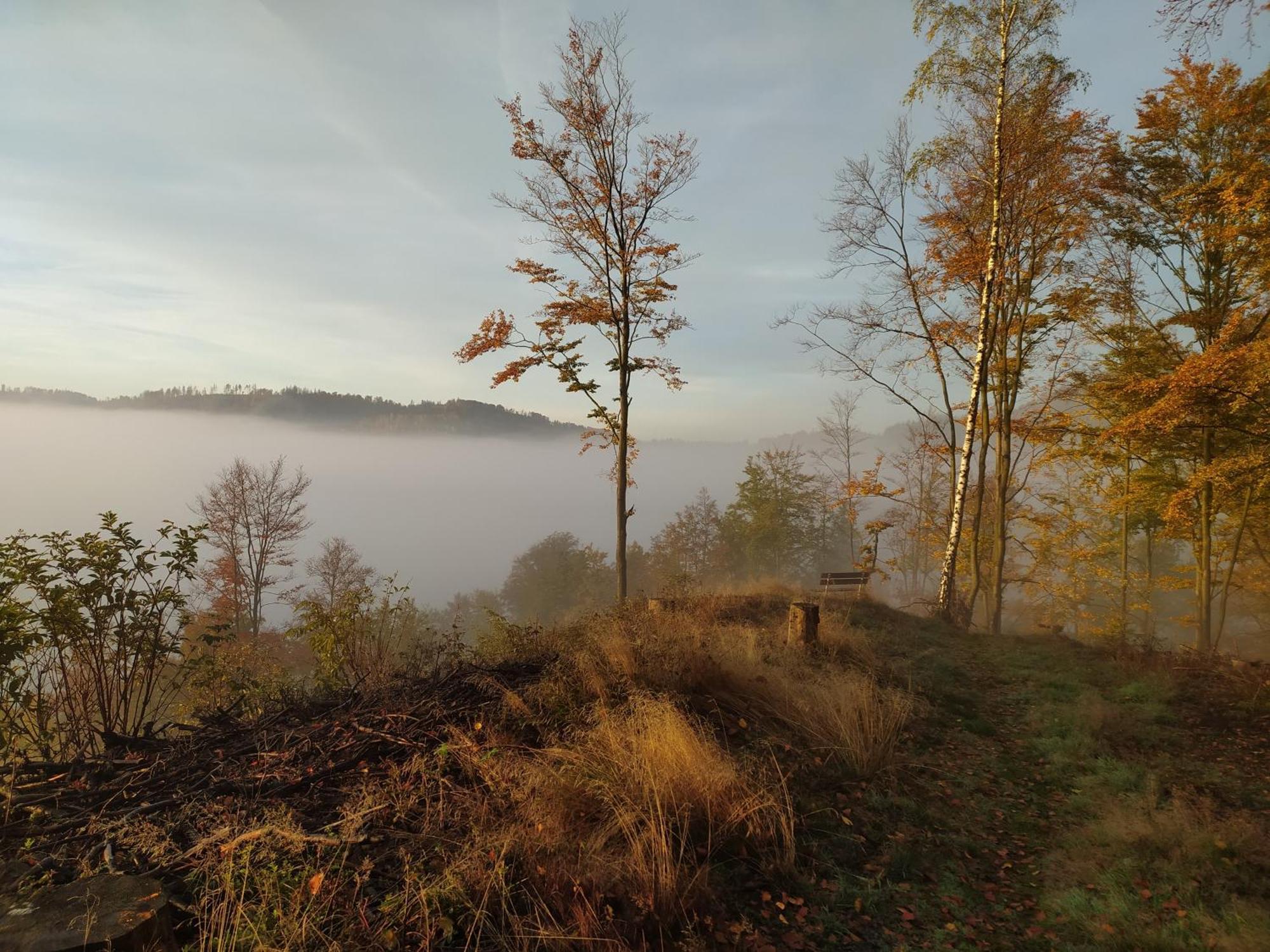 Ferienwohnung Steinachblick Steinach  Esterno foto