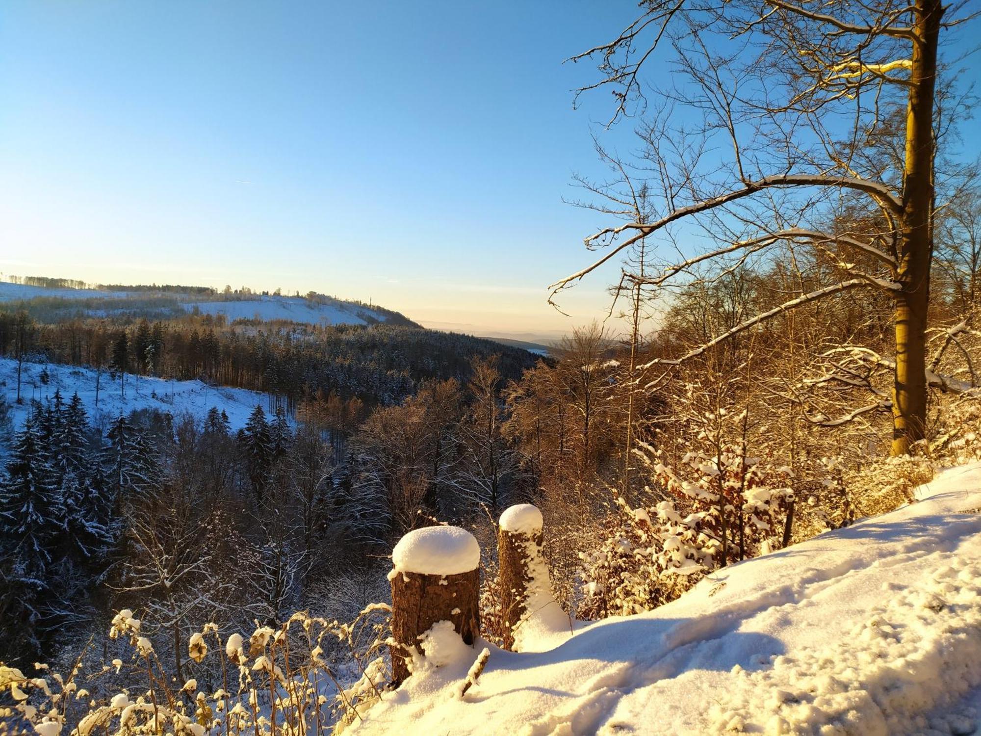 Ferienwohnung Steinachblick Steinach  Esterno foto